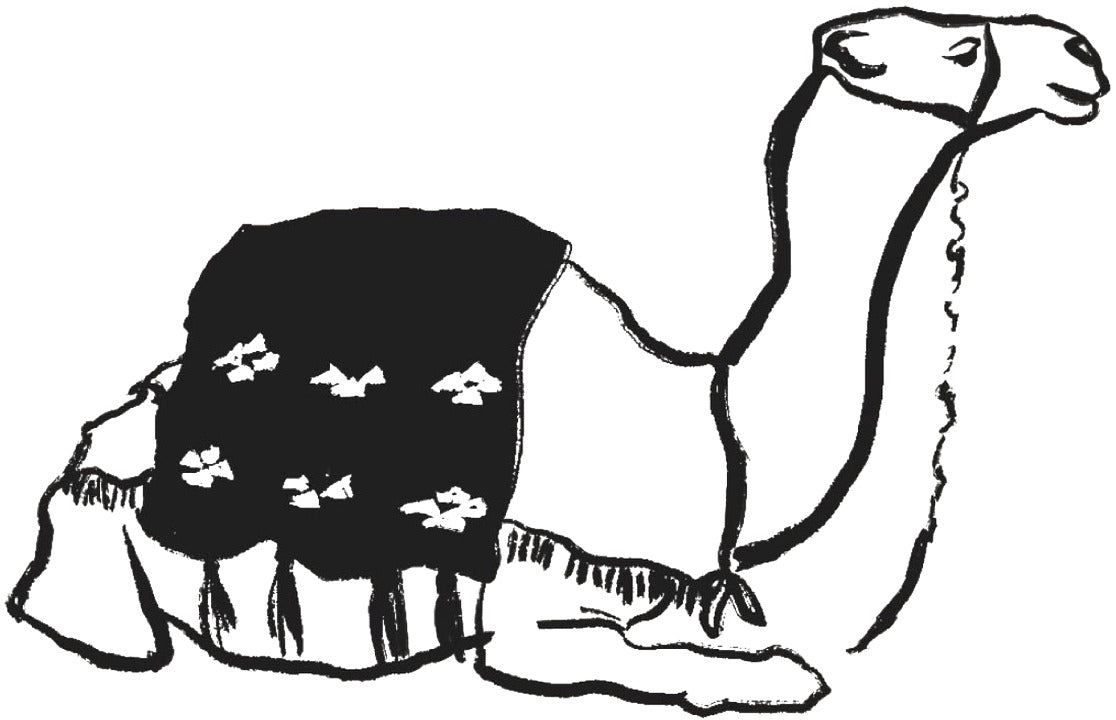 Desert Camel Tee design