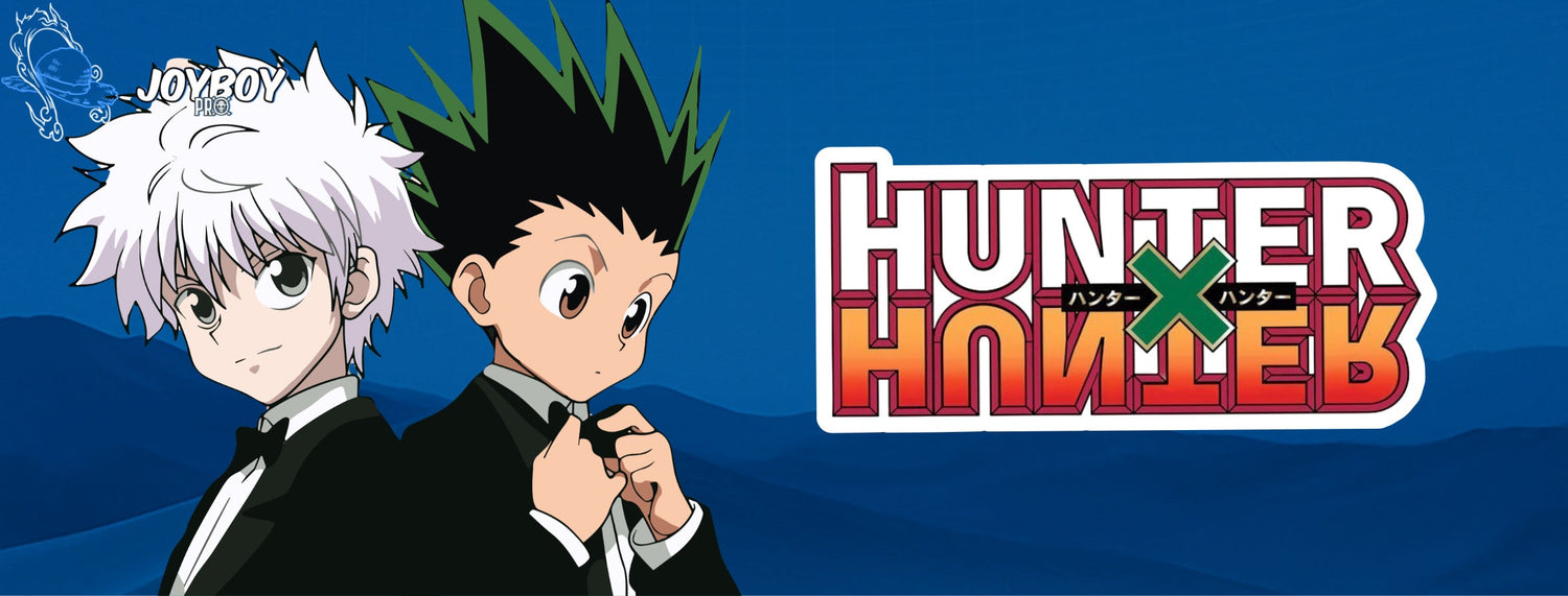 Hunter X hunter