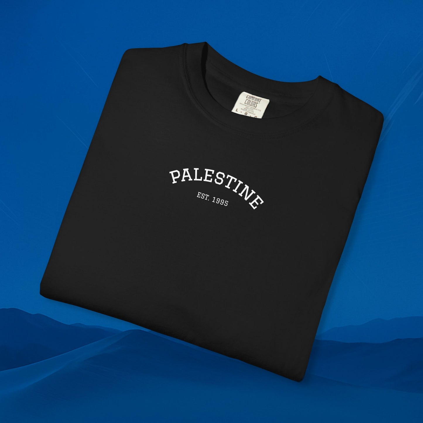 We Stand With palestine T-Shirt — Solidarity Graphic Tee