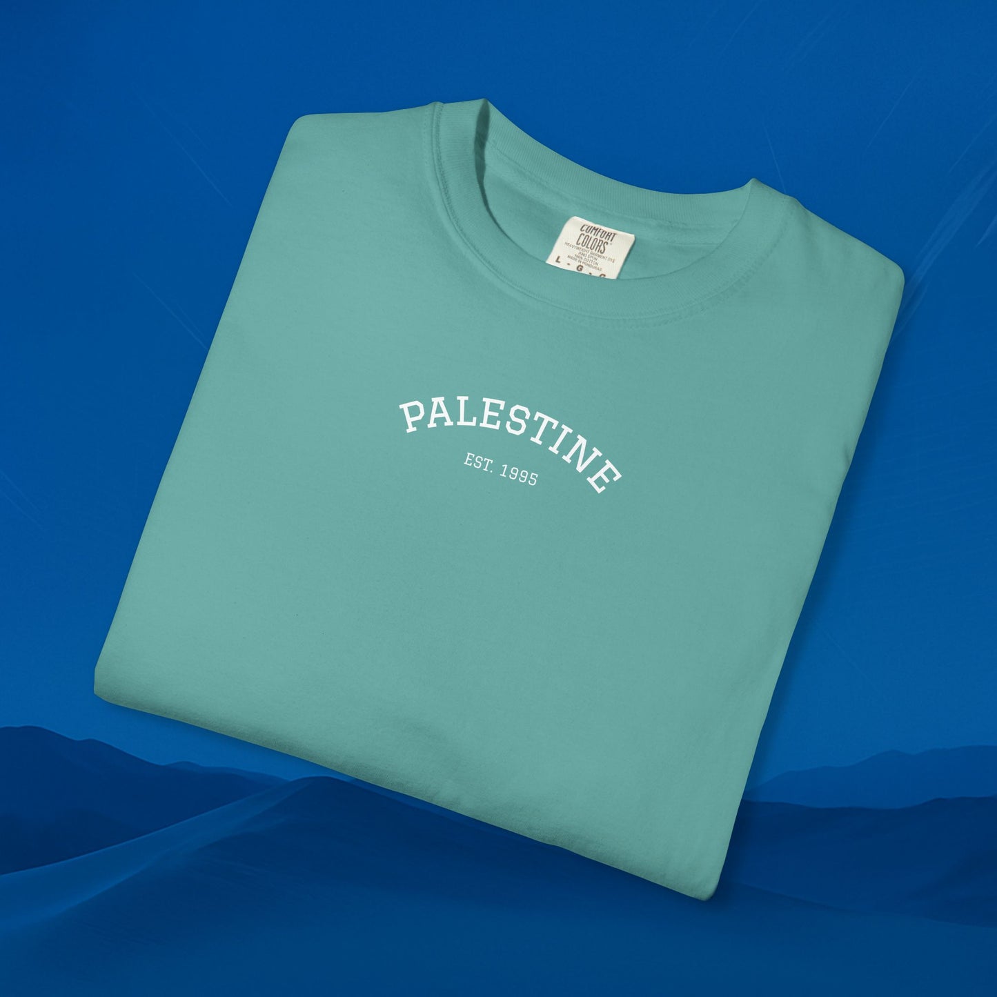 We Stand With palestine T-Shirt — Solidarity Graphic Tee