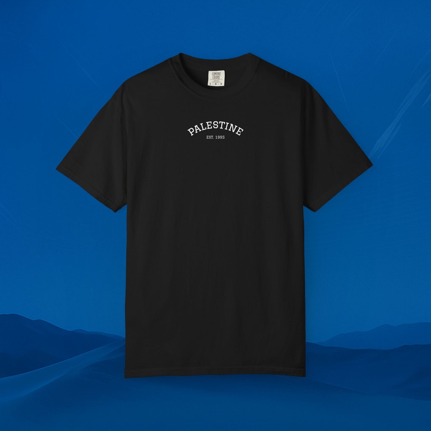 We Stand With palestine T-Shirt — Solidarity Graphic Tee
