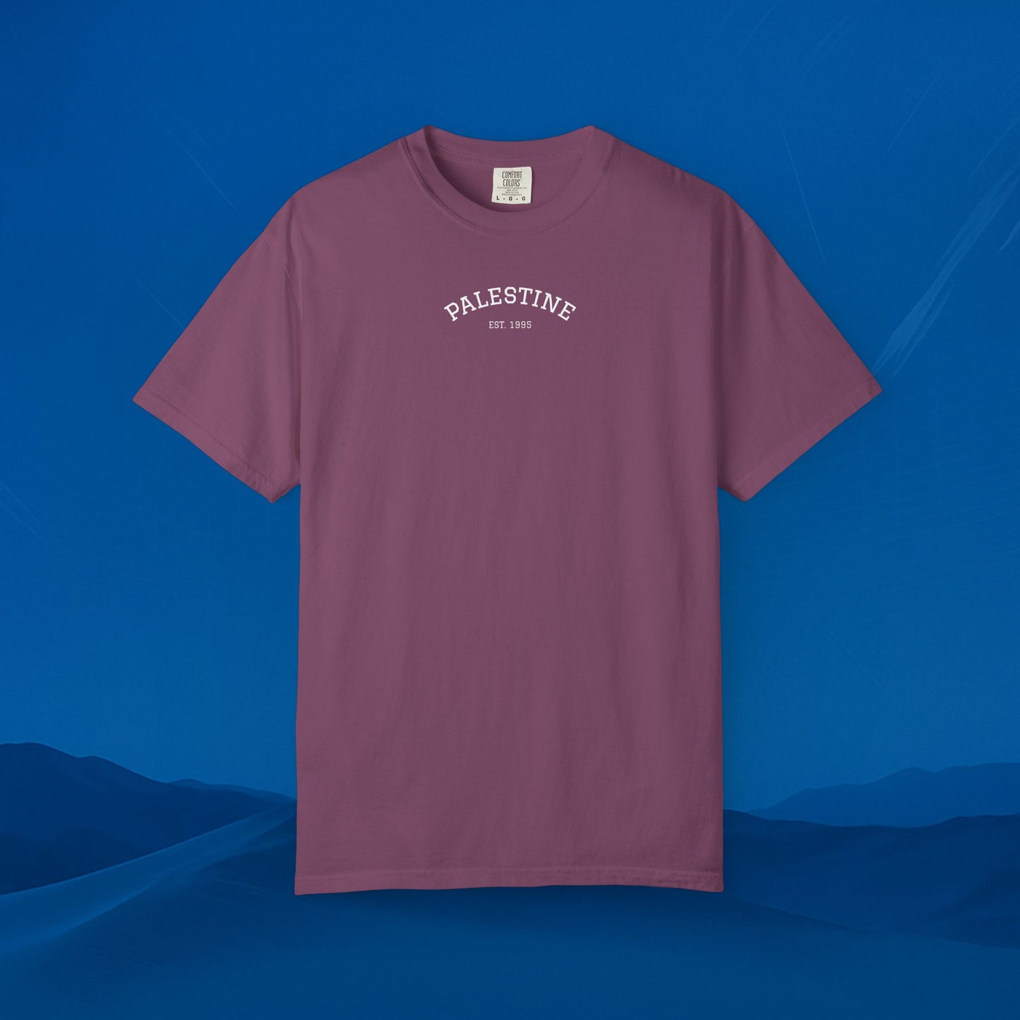 We Stand With palestine T-Shirt — Solidarity Graphic Tee