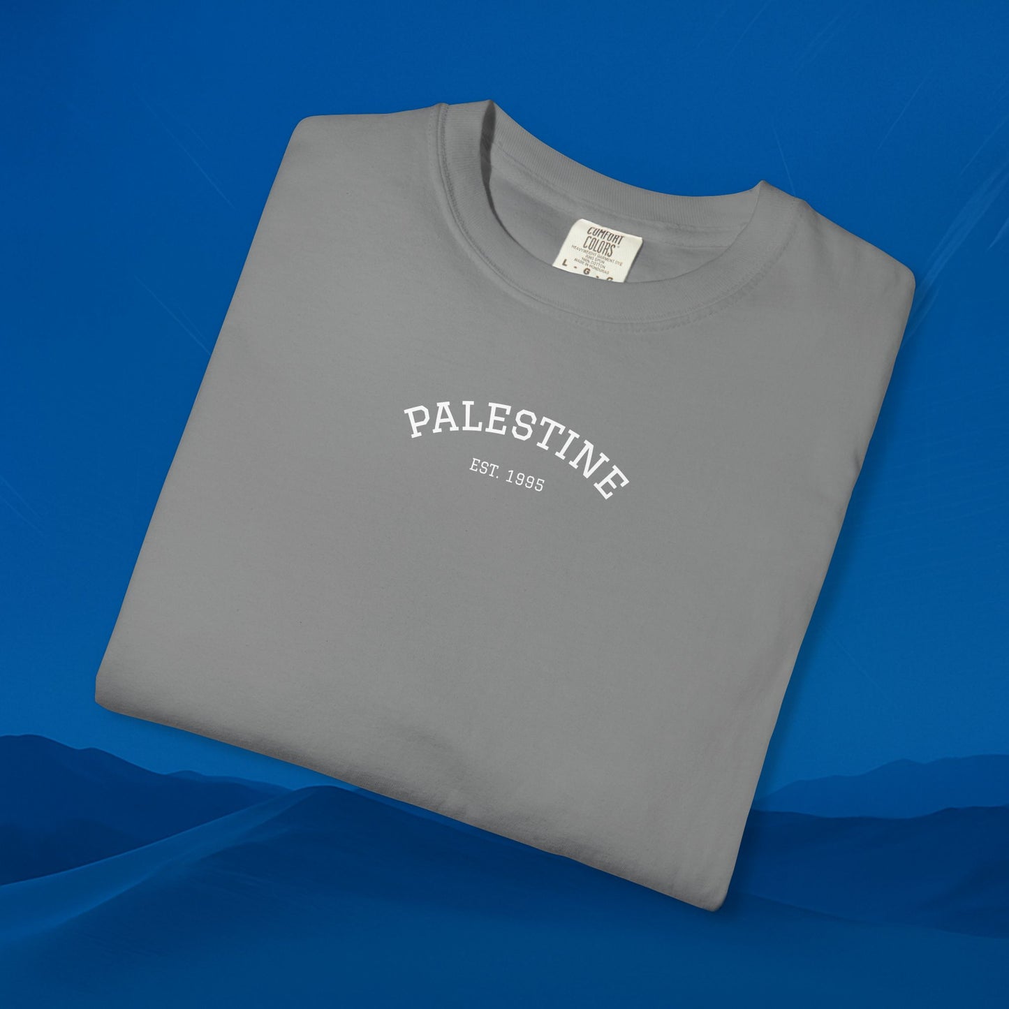 We Stand With palestine T-Shirt — Solidarity Graphic Tee