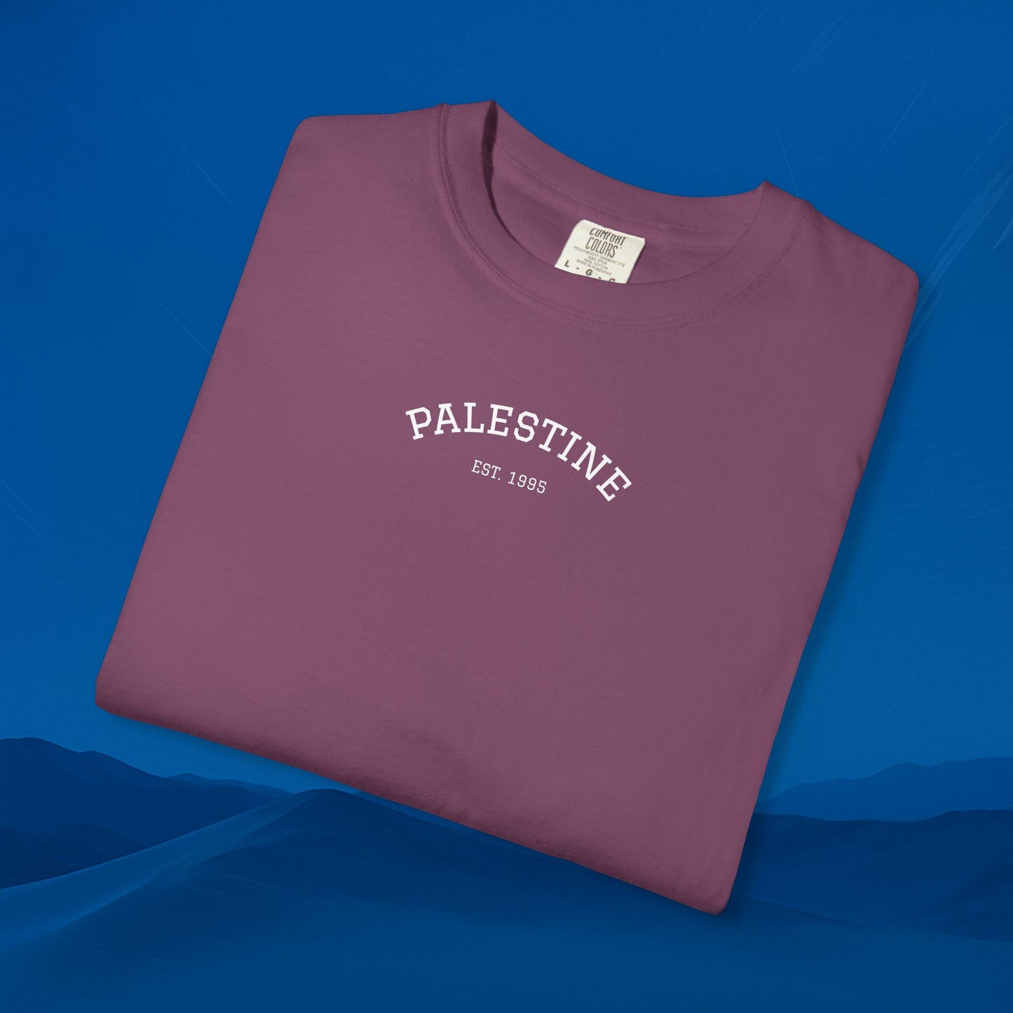We Stand With palestine T-Shirt — Solidarity Graphic Tee