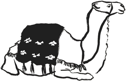 Desert Camel Tee design